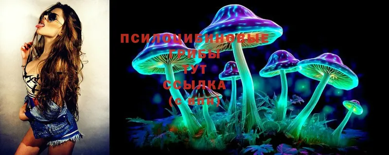 мега вход  Алейск  Галлюциногенные грибы MAGIC MUSHROOMS  сколько стоит 